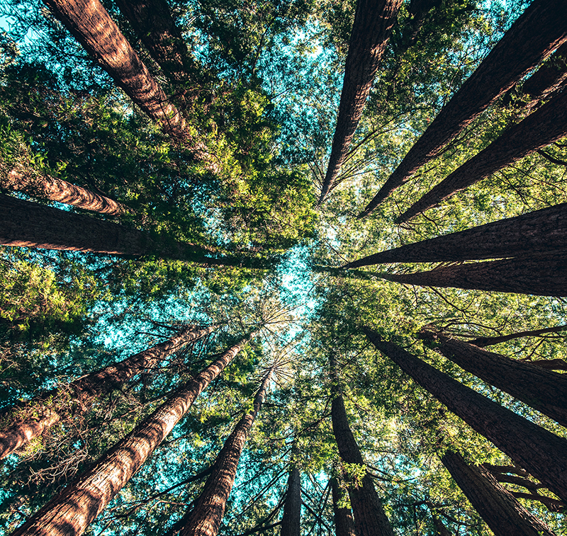 casey-horner-4rDCa5hBlCs-unsplash Hilton