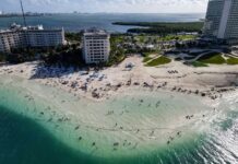 Celebrate Black Fri-YAY 2024 With Deals From ALGV algv