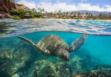 Sustainability in Travel: Celebrate Earth Month the Right Way Sustainability