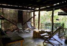 Luxury Meets Sustainability in Sri Lanka Program Sri Lanka