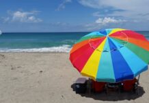 Rainbow Spring Returns to Miami Beach