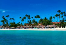 Wellness Experts Lead Divi & Tamarijn’s New Retreat Divi