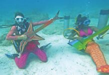 Discover Florida’s Hidden Gems Florida