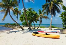 Allegiant Announces New Air Routes New Air Routes